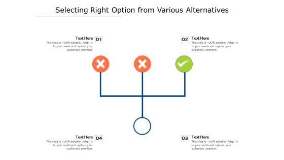 Selecting Right Option From Various Alternatives Ppt PowerPoint Presentation Styles Images PDF