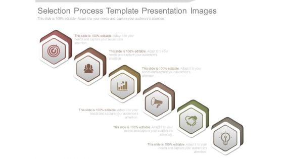 Selection Process Template Presentation Images