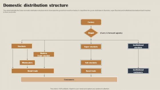 Self Care Products Company Outline Domestic Distribution Structure Structure PDF