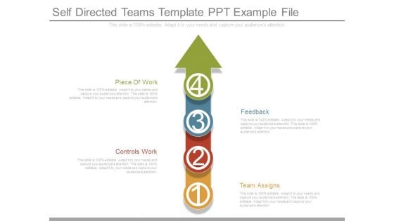 Self Directed Teams Template Ppt Example File Self Directed Teams Template Ppt Example File