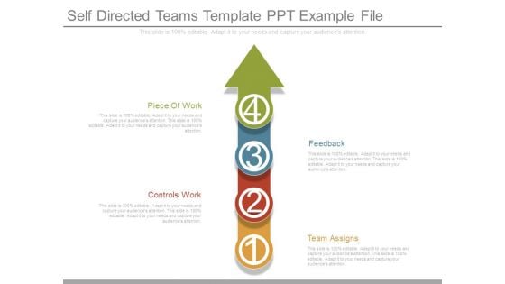 Self Directed Teams Template Ppt Example File