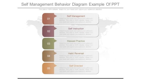 Self Management Behavior Diagram Example Of Ppt Self Management Behavior Diagram Example Of Ppt