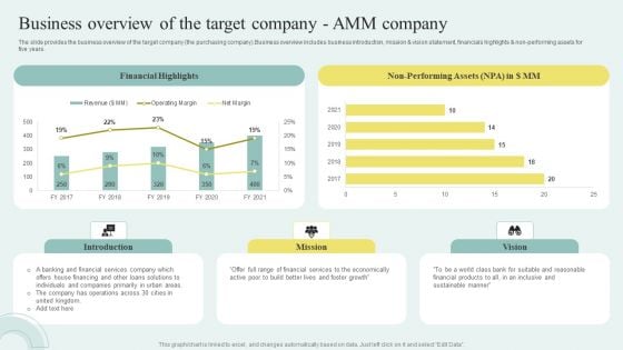 Sell Side M And A Pitchbook With Deal Overview Business Overview Of The Target Company AMM Company Graphics PDF