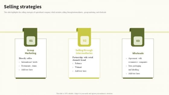 Selling Strategies Global Food Products Company Profile Structure PDF