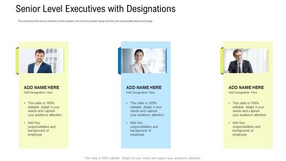 Senior Level Executives With Designations Ppt Infographic Template Gridlines PDF