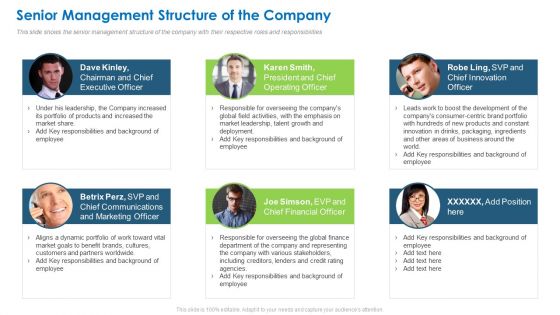 Senior Management Structure Of The Company Elements PDF