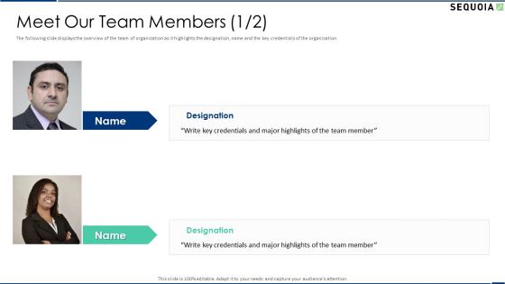 Sequoia Company Capital Raising Elevator Meet Our Team Members Major Pictures PDF Sequoia Company Capital Raising Elevator Meet Our Team Members Major Pictures PDF