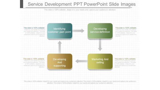 Service Development Ppt Powerpoint Slide Images