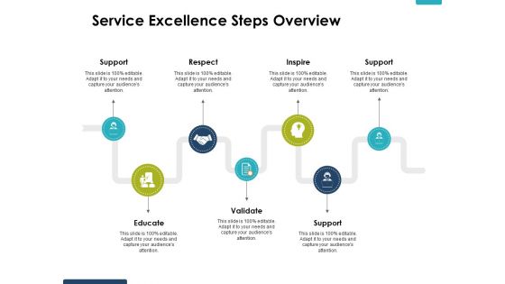 Service Excellence Steps Overview Ppt PowerPoint Presentation Professional