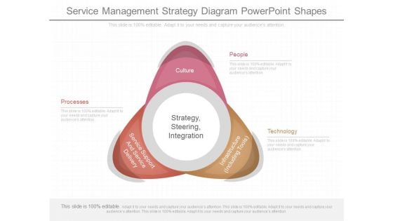 Service Management Strategy Diagram Powerpoint Shapes