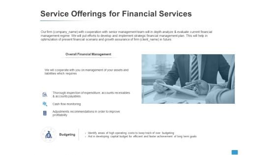 Service Offerings For Financial Services Budgeting Ppt PowerPoint Presentation Professional Show