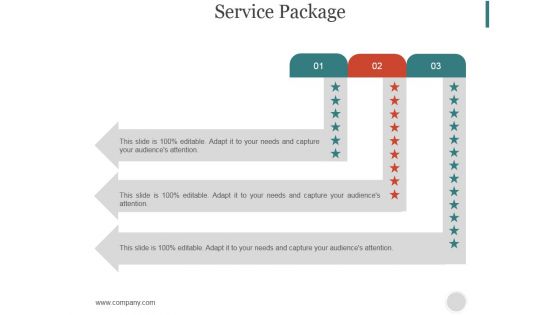 Service Package Ppt PowerPoint Presentation Summary