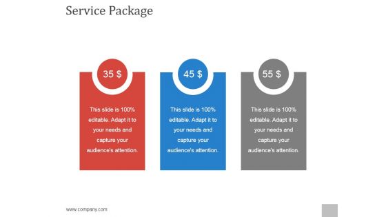 Service Package Template 1 Ppt PowerPoint Presentation Guide