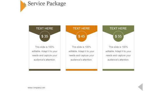 Service Package Template 1 Ppt PowerPoint Presentation Professional Topics