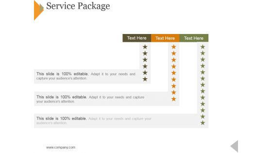 Service Package Template 2 Ppt PowerPoint Presentation Summary Good