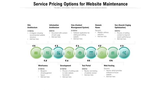 Service Pricing Options For Website Maintenance Ppt PowerPoint Presentation Show Elements PDF