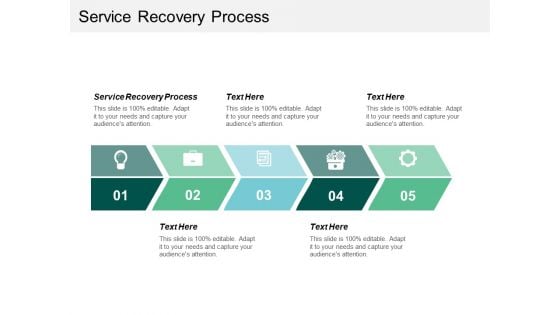 Service Recovery Process Ppt PowerPoint Presentation Summary Sample Cpb