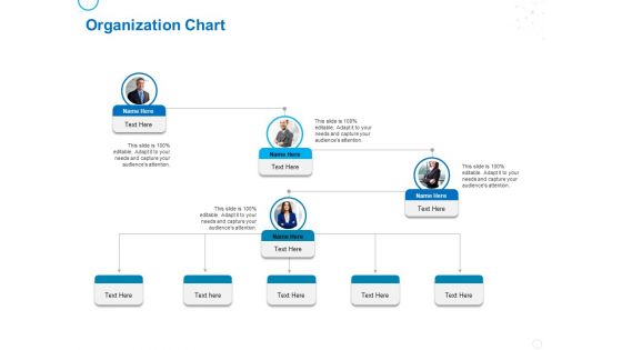 Service Strategy And Service Lifecycle Implementation Organization Chart Ppt Gallery Example PDF