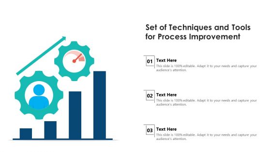 Set Of Techniques And Tools For Process Improvement Ppt Portfolio Example Introduction PDF