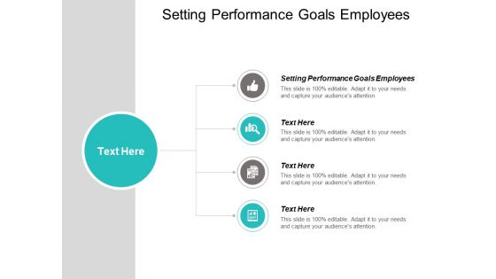 Setting Performance Goals Employees Ppt PowerPoint Presentation Summary Files Cpb