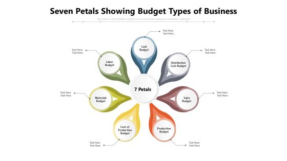 Seven Petals Showing Budget Types Of Business Ppt PowerPoint Presentation Gallery Designs PDF