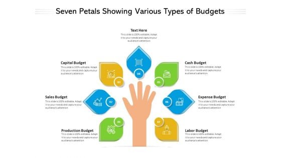 Seven Petals Showing Various Types Of Budgets Ppt PowerPoint Presentation Layouts Introduction PDF