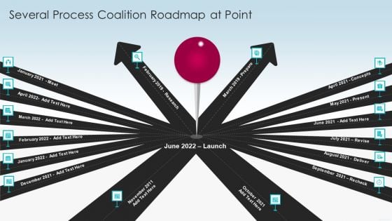 Several Process Coalition Roadmap At Point Portrait PDF