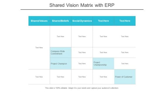 Shared Vision Matrix With Erp Ppt PowerPoint Presentation Infographics Background Images