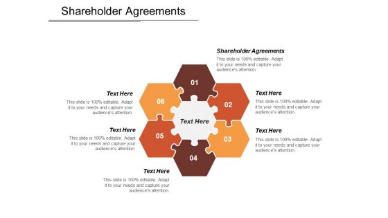 Shareholder Agreements Ppt PowerPoint Presentation Gallery Visuals Cpb