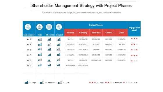 Shareholder Management Strategy With Project Phases Ppt PowerPoint Presentation File Microsoft PDF