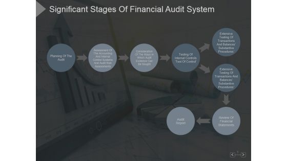 Significant Stages Of Financial Audit System Ppt PowerPoint Presentation Backgrounds