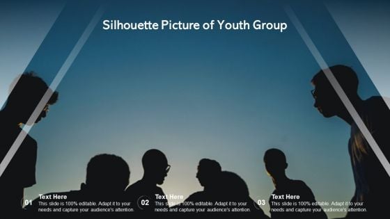 Silhouette Picture Of Youth Group Ppt Infographics Background PDF