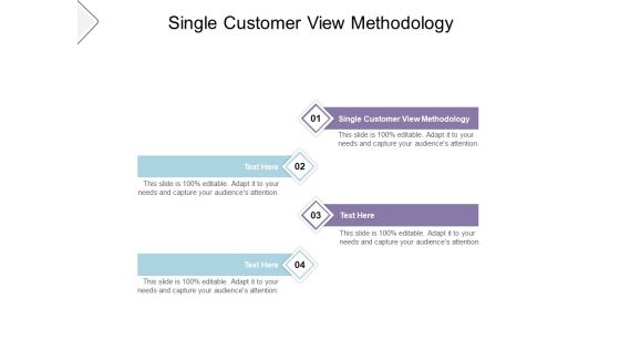 Single Customer View Methodology Ppt PowerPoint Presentation Summary Example Cpb Pdf