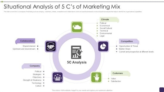 Situational Analysis Of 5 Cs Of Marketing Mix Summary PDF