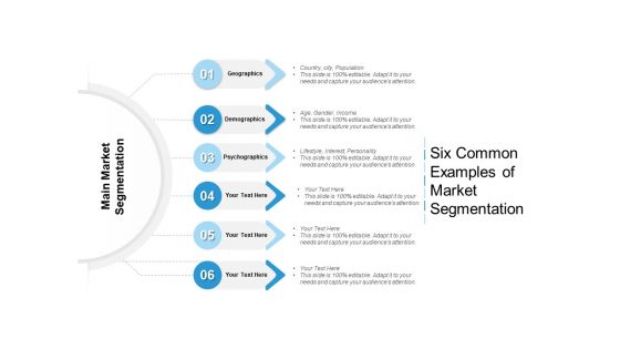 Six Common Examples Of Market Segmentation Ppt PowerPoint Presentation Gallery Good PDF