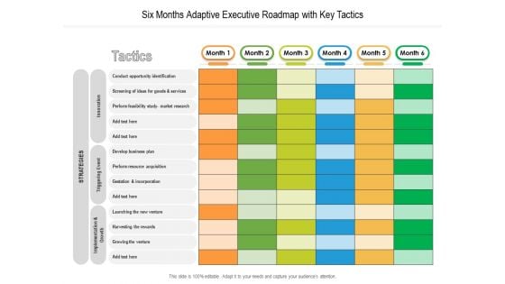 Six Months Adaptive Executive Roadmap With Key Tactics Summary