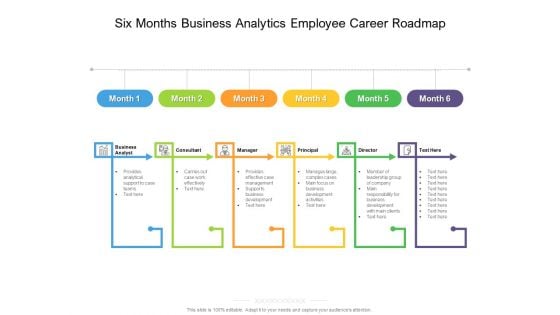 Six Months Business Analytics Employee Career Roadmap Slides