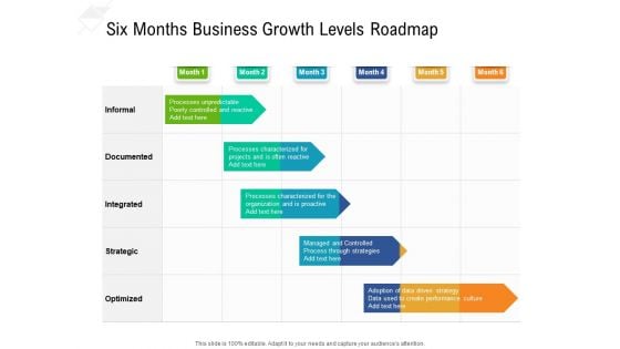 Six Months Business Growth Levels Roadmap Sample