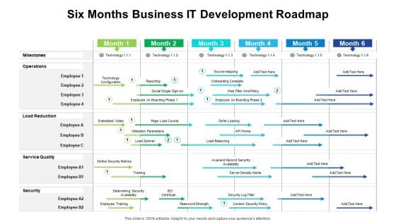 Six Months Business IT Development Roadmap Guidelines