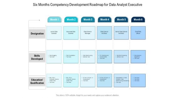 Six Months Competency Development Roadmap For Data Analyst Executive Designs