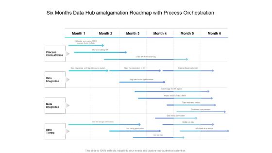 Six Months Data Hub Amalgamation Roadmap With Process Orchestration Elements