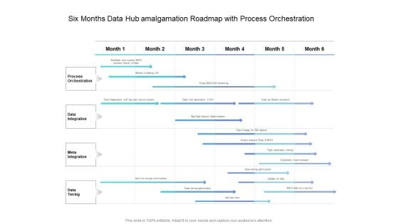 Six Months Data Hub Amalgamation Roadmap With Process Orchestration Elements