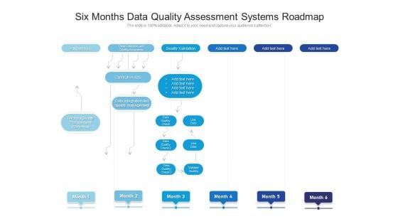 Six Months Data Quality Assessment Systems Roadmap Portrait