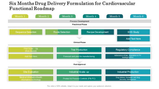 Six Months Drug Delivery Formulation For Cardiovascular Functional Roadmap Template
