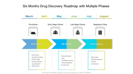 Six Months Drug Discovery Roadmap With Multiple Phases Professional