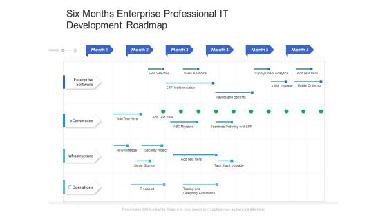 Six Months Enterprise Professional IT Development Roadmap Guidelines