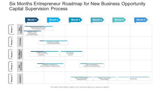 Six Months Entrepreneur Roadmap For New Business Opportunity Capital Supervision Process Elements PDF