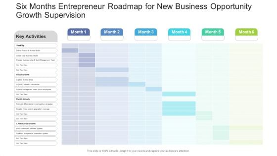 Six Months Entrepreneur Roadmap For New Business Opportunity Growth Supervision Summary PDF