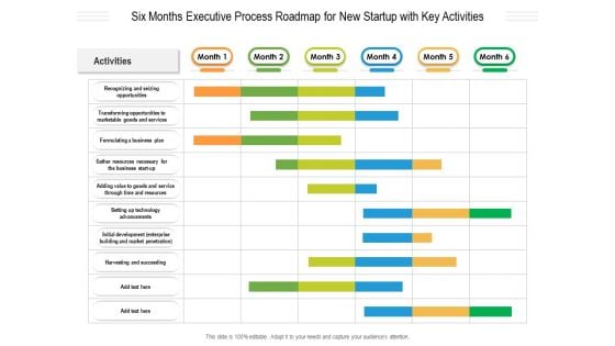 Six Months Executive Process Roadmap For New Startup With Key Activities Ideas