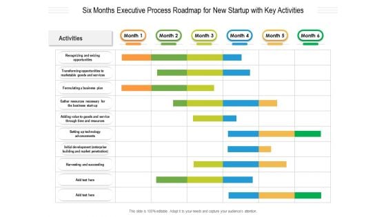 Six Months Executive Process Roadmap For New Startup With Key Activities Ideas